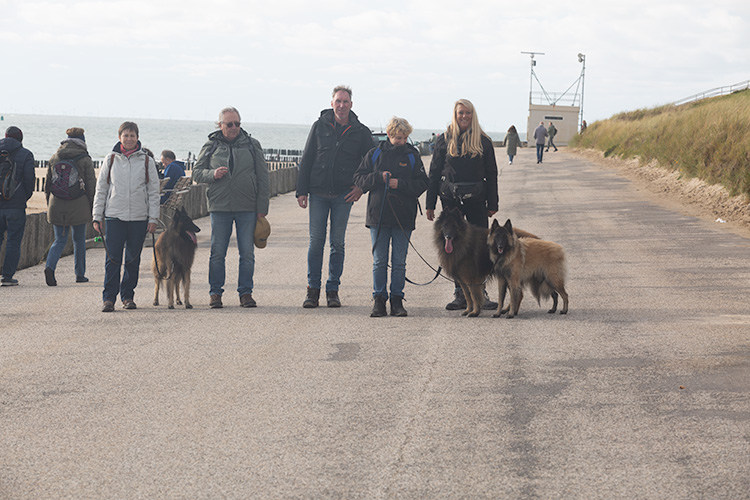 Wandeling Zoutelanden